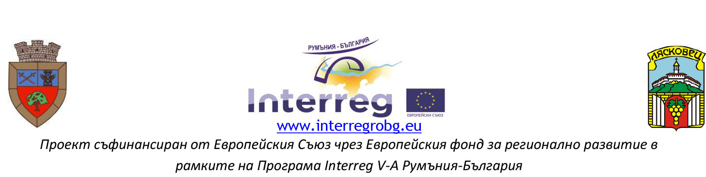 Фестивал-на-кокошата-чорба---с2