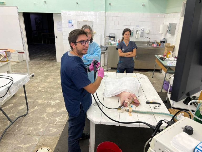 Здраве | Лекар от Горна Оряховица участва в първия  за България обучителен курс с живи прасета