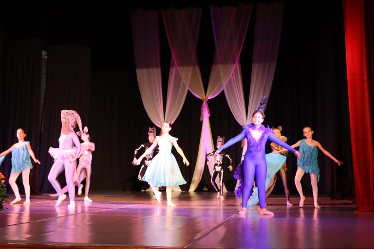 Седем балетни колектива радваха публиката в Лясковец по време на XIV-тия „Празник на балета“
