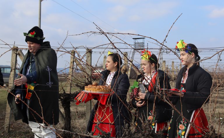 В Лясковец зарязаха лозята за здраве и берекет и се веселиха за Зарезан с Капанския ансамбъл