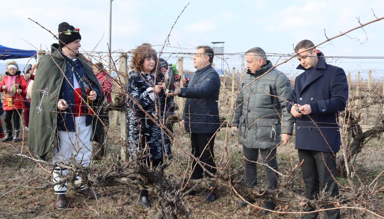 В Лясковец зарязаха лозята за здраве и берекет и се веселиха за Зарезан с Капанския ансамбъл