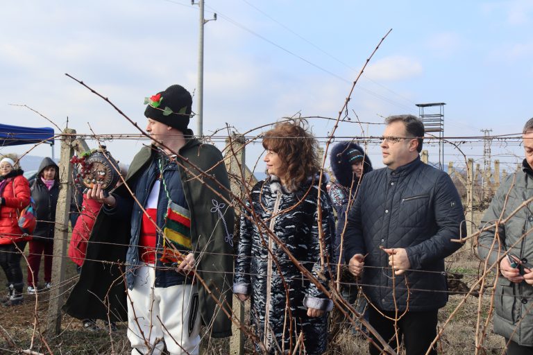В Лясковец зарязаха лозята за здраве и берекет и се веселиха за Зарезан с Капанския ансамбъл