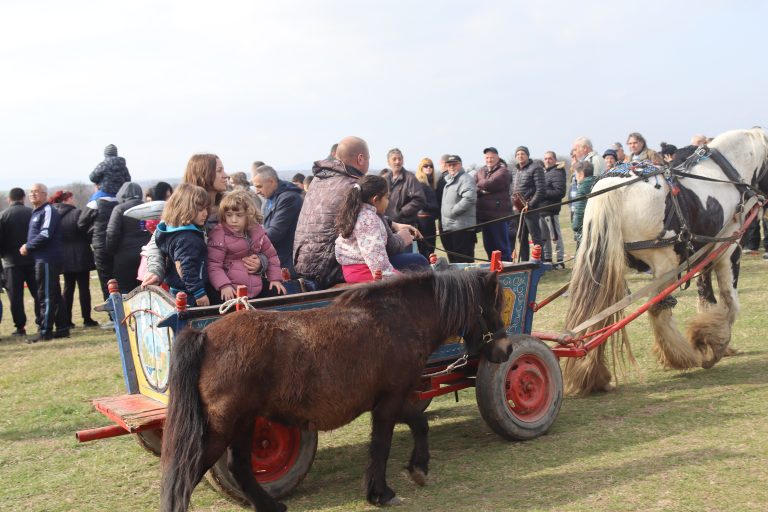 Горещи новини | Тодоровден отново събра животни, състезатели и публика в три лясковски села