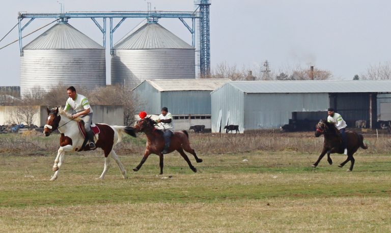 Тодоровден отново събра животни, състезатели и публика в три лясковски села