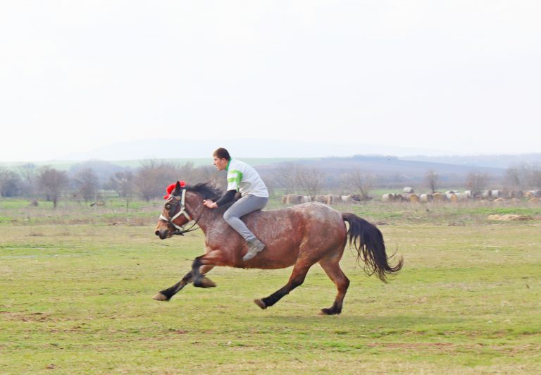 Тодоровден отново събра животни, състезатели и публика в три лясковски села
