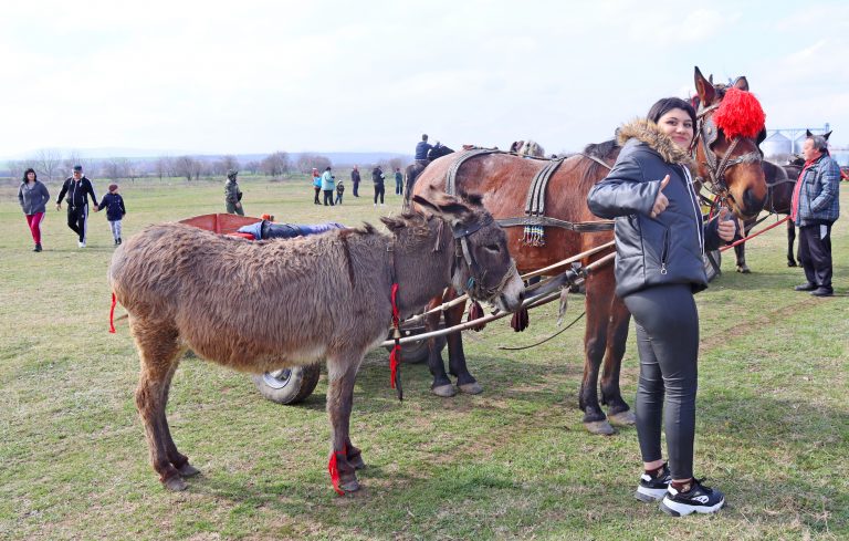 Тодоровден отново събра животни, състезатели и публика в три лясковски села