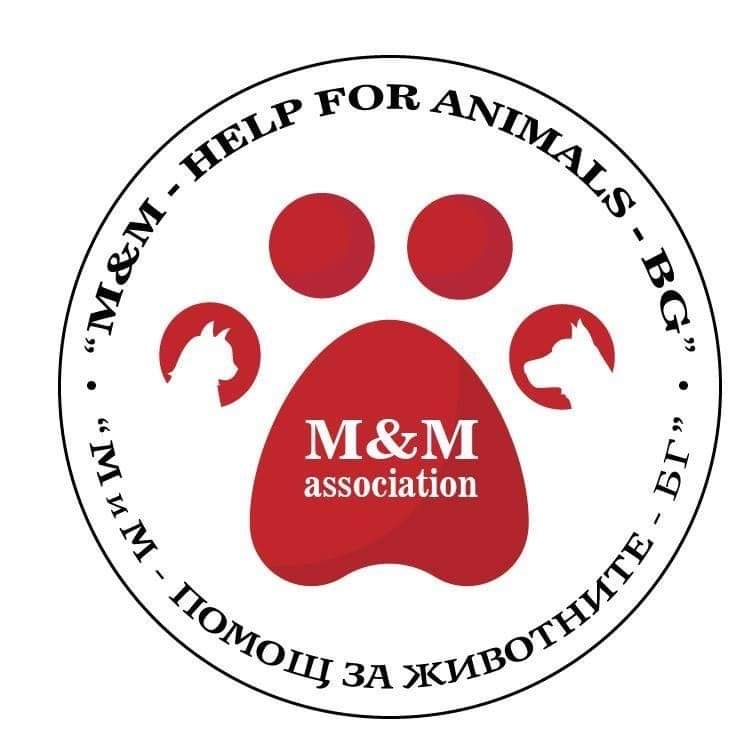 Горна Оряховица | Горна Оряховица ще си сътрудничи с организацията “М и М – помощ за животните в България”