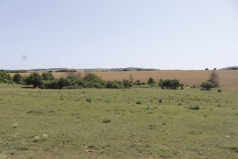 Инвеститор иска да изгради 1300 дка соларно пасище край Ново село