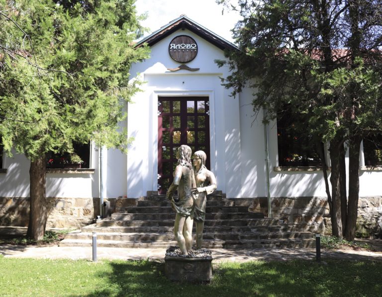 Заможни търновци съживяват предбалканското село Ялово