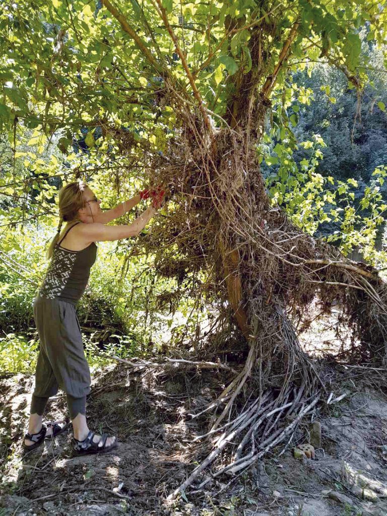 Девет артистични проекта предлага клуб ТаМ за фестивала “48 ч. Варуша Юг”