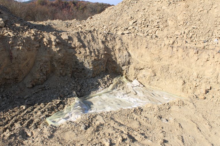 Над 240 000 кокошки от огнището на птичи грип край Дебелец вече са умъртвени и загробени