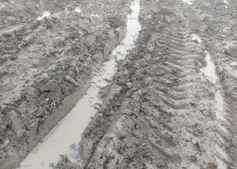 За единични адреси без електрозахранване клиентите на ЕРП Север могат да подават сигнали на телефони 0700 359 10 и 0700 161 61