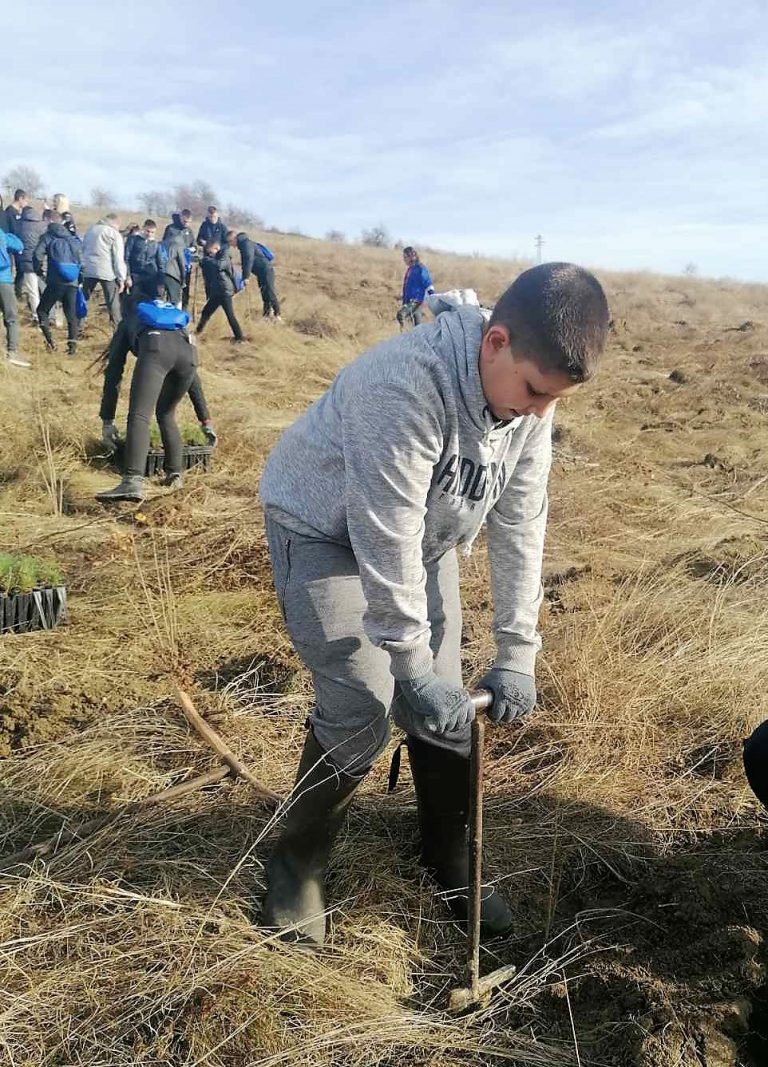 Общество | Над 6000 фиданки бяха засадени край Велико Търново