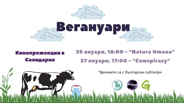 Култура | На кинопрожекции канят от новото  активистко пространство “Солидария”