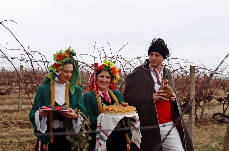 В Лясковско за поредна година избраха най-добрите винари и зарязаха лозята за берекет