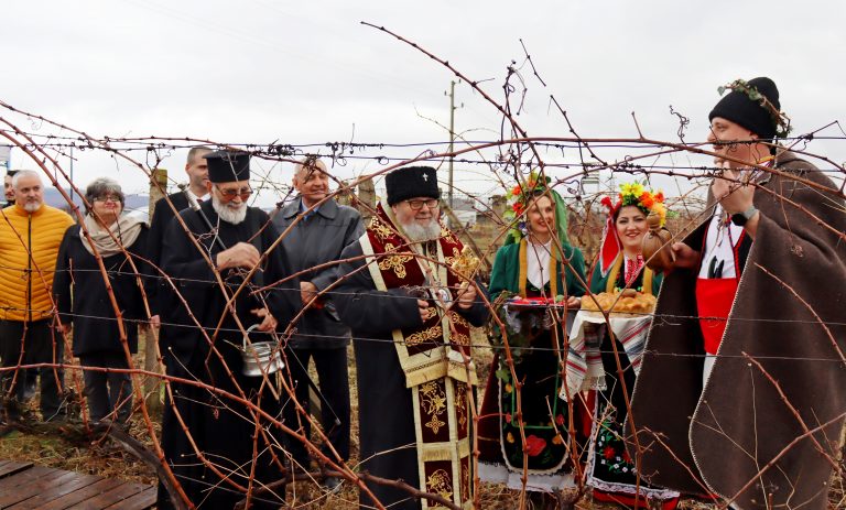 В Лясковско за поредна година избраха най-добрите винари и зарязаха лозята за берекет