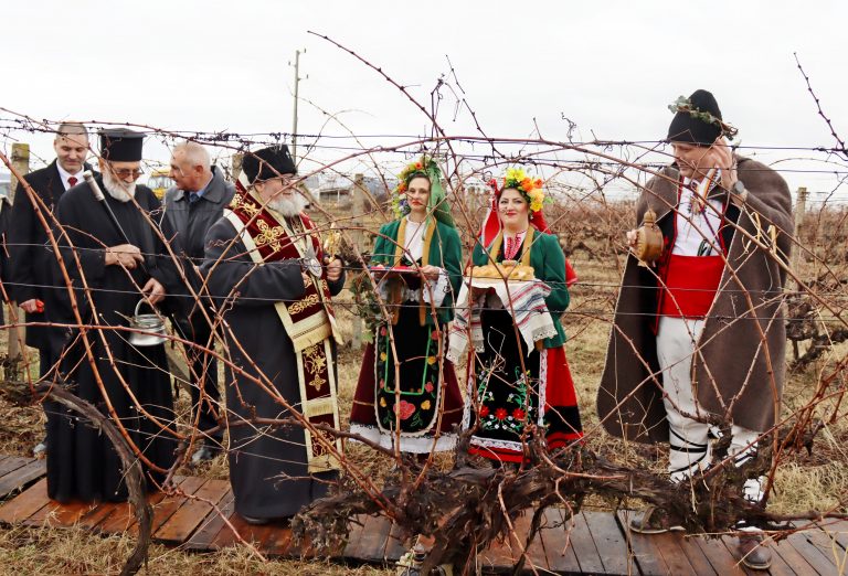 В Лясковско за поредна година избраха най-добрите винари и зарязаха лозята за берекет