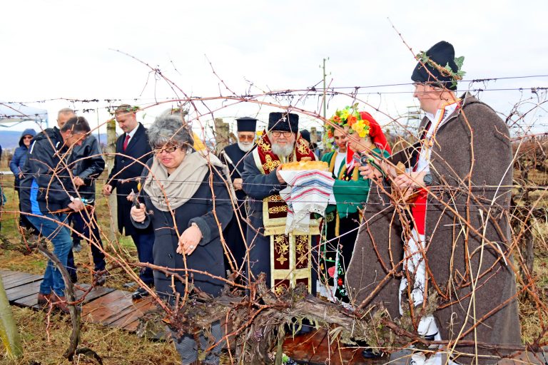 В Лясковско за поредна година избраха най-добрите винари и зарязаха лозята за берекет