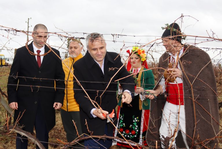 В Лясковско за поредна година избраха най-добрите винари и зарязаха лозята за берекет