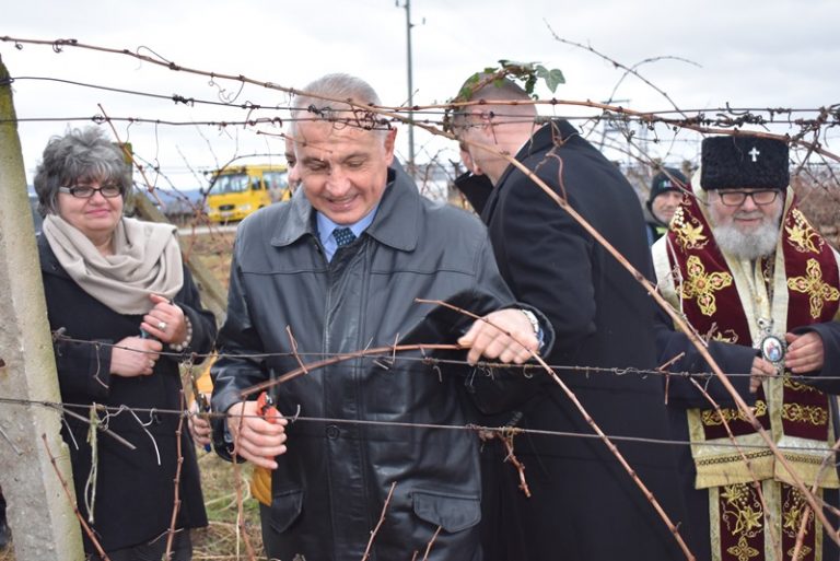 В Лясковско за поредна година избраха най-добрите винари и зарязаха лозята за берекет