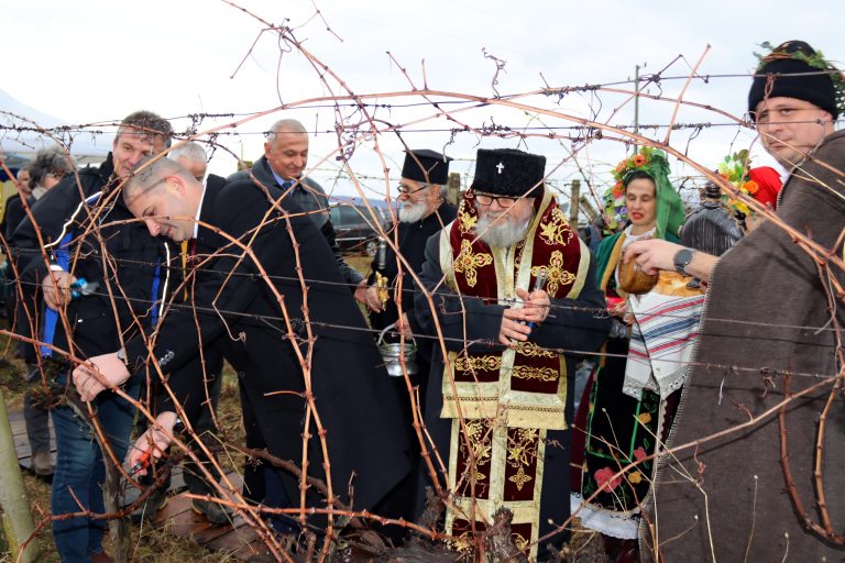 В Лясковско за поредна година избраха най-добрите винари и зарязаха лозята за берекет