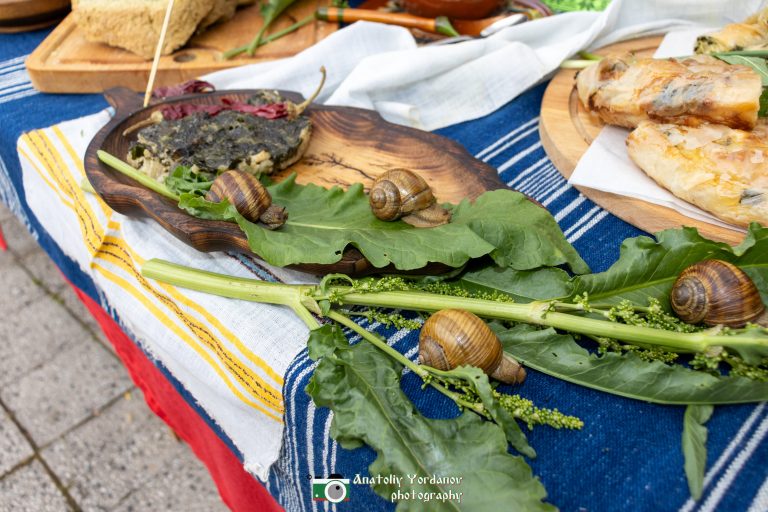 Празник на лопуша правиха в Бряговица