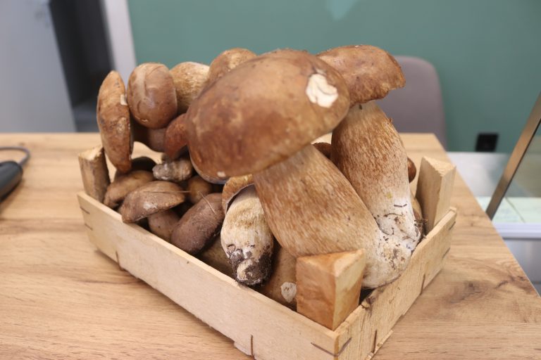 „Дивус“ – магазинът за ценители