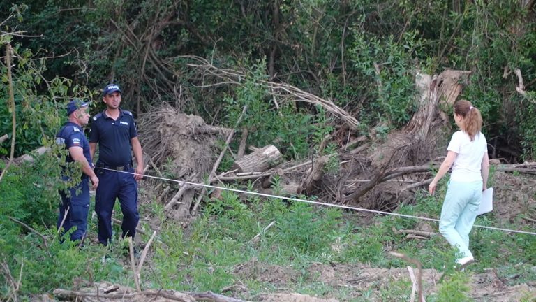Горещи новини | След незаконни сеч и разширяване на път има опасност от наводнение на Къпиново