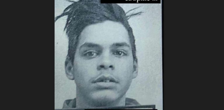 Горещи новини | Полицаи с дрон търсиха отвлечено дете в Лясковец