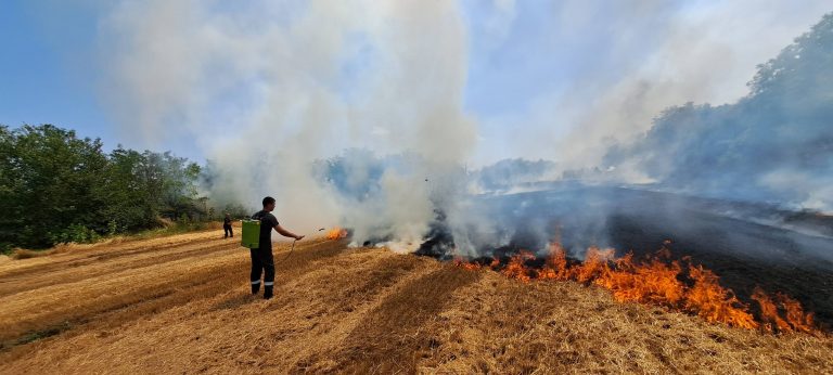 Общество | Огнеборци гасиха пожар в гробището на Павликени