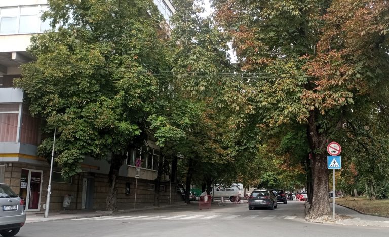 Горещи новини | Част от синята зона на ул. „Марно поле” временно става служебен паркинг на МВР