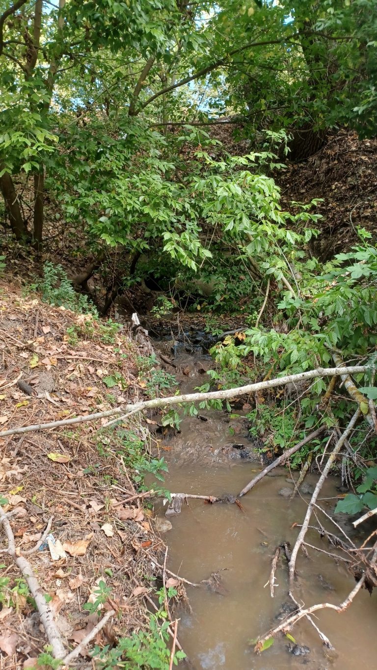 Горещи новини | Канализационна тръба замърсява Янтра