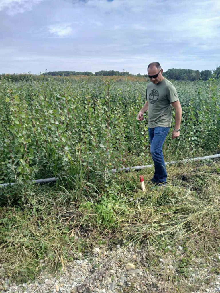 Общество | Лесовъди от Свищов обмениха опит със свои колеги в Румъния