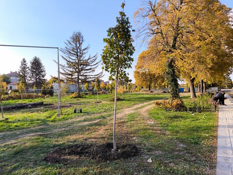 Общество | 115 дървета и 2063 храста засаждат в Младежкия парк в град Павликени