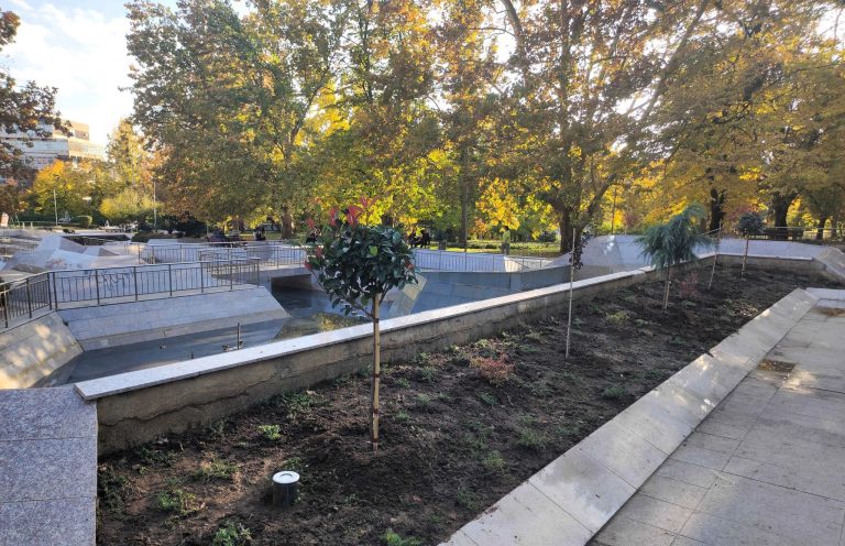 Общество | Във Велико Търново засадиха 80 нови дървета