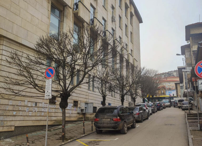 Общество | Във Велико Търново предстои оформяне на короните на кълбовидните дървета