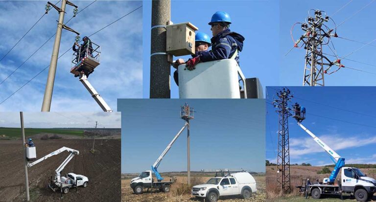 Общество | ЕРП Север обезопаси над 1600 електрически стълба и постави 250 дивертора в защита на птиците