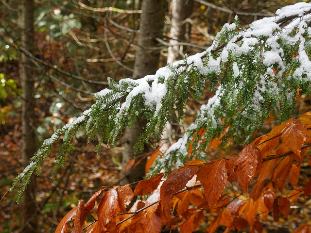 Общество | ИЗГЛЕДИ ЗА ВРЕМЕТО на 17.01.2025 г. и 18.01.2025 г.