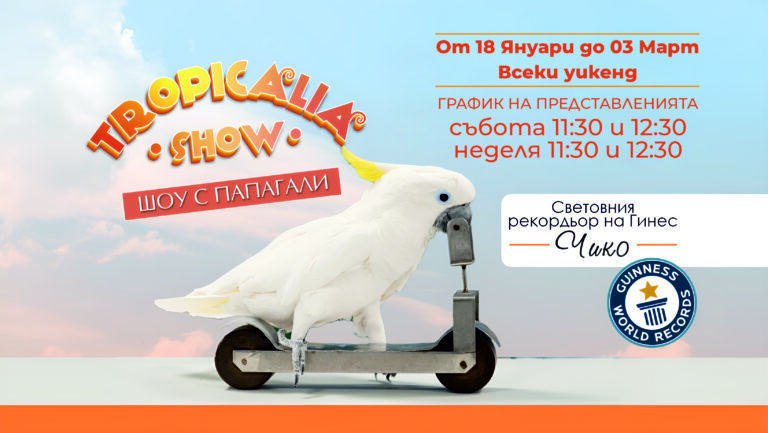 Горещи новини | Най-бързият папагал в света гостува в Mall Велико Търново!