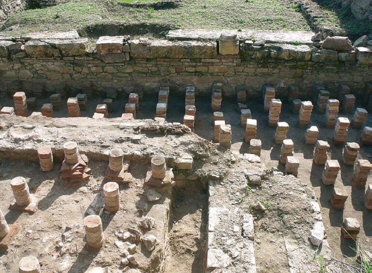 Култура | Доц. д-р Павлина Владкова издаде  нова книга за римския лагер Нове