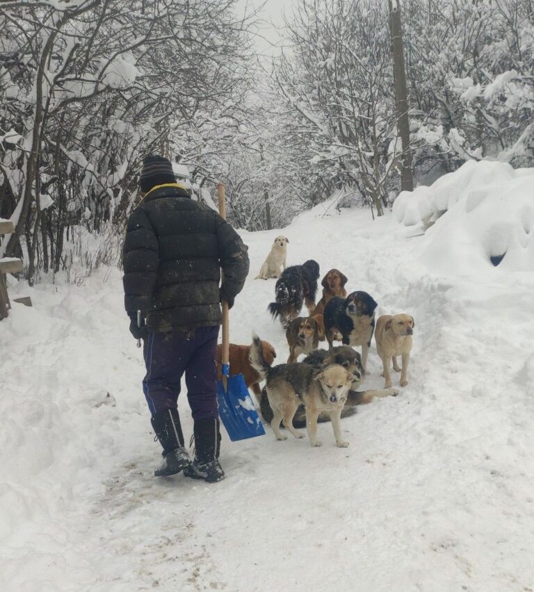 350 животни бедстват в приют в Балкана
