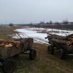 Най-четени | Хванаха две каруци с незаконни дърва