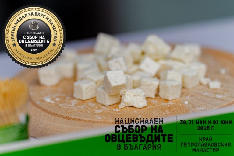 Общество | Със златни медали отличават най-добрите млечни продукти на Събора на овцевъдите