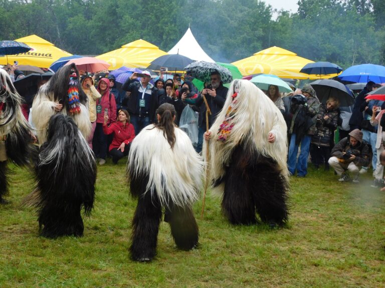 Горещи новини | Кашкавал с трюфели стана хит на събора на овцевъдите