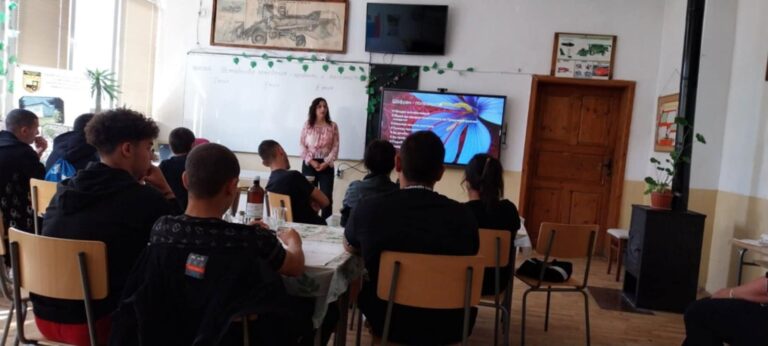 Как се добива рядката и много скъпа подправка шафран обсъждаха ученици