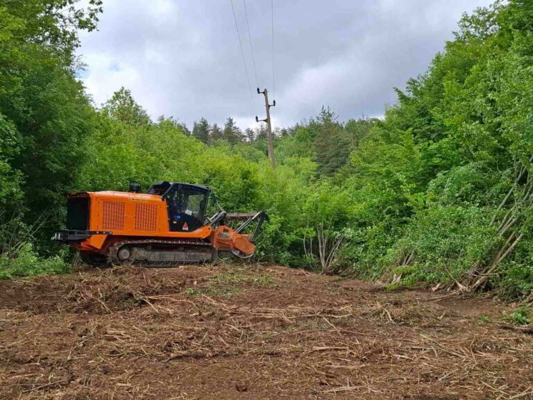 ЕРП Север предприема мащабна превантивна кампания за предотвратяване на аварии и апелира към институциите за съдействие при изграждането на просеки по електропроводите