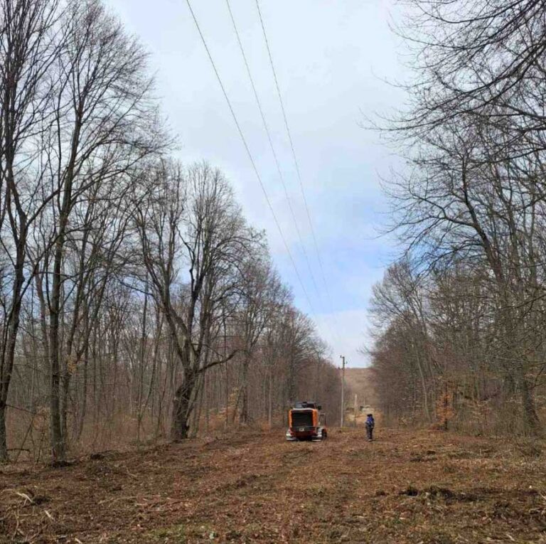 Общество | ЕРП Север предприема мащабна превантивна кампания за предотвратяване на аварии и апелира към институциите за съдействие при изграждането на просеки по електропроводите