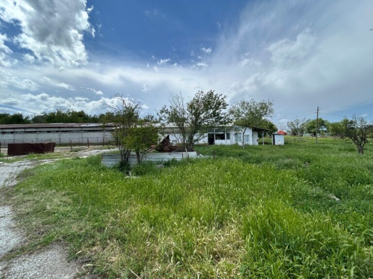 Горещи новини | Продават стар овчарник за малко над 100 хил. лв.