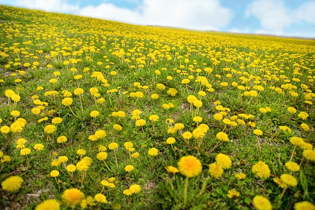 Общество | Прогноза на времето за 3 и 4 юни