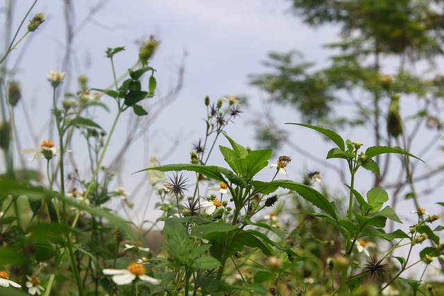 Общество | Прогноза на времето за 7 юни